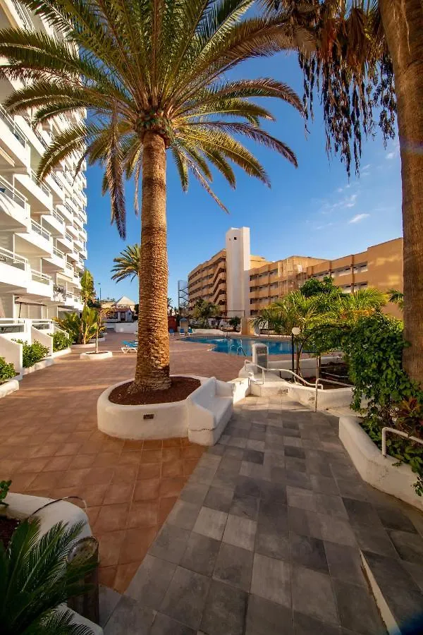 Ponderosa 615: Oceanview Apartment Near Siam Park Playa de las Americas  Playa de las Americas (Tenerife)